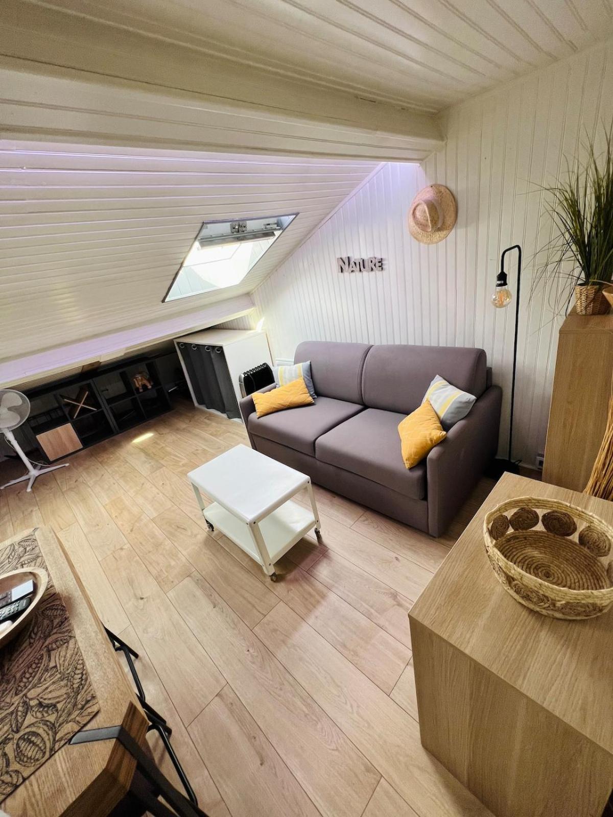 Appartement Charmand Mansarde Dans Le Centre De